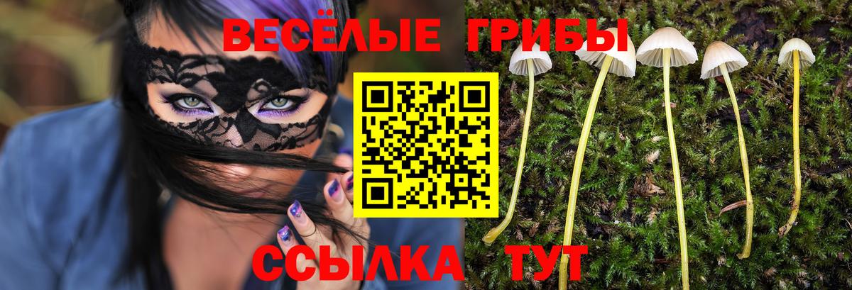 Псилоцибиновые грибы Cubensis Обь
