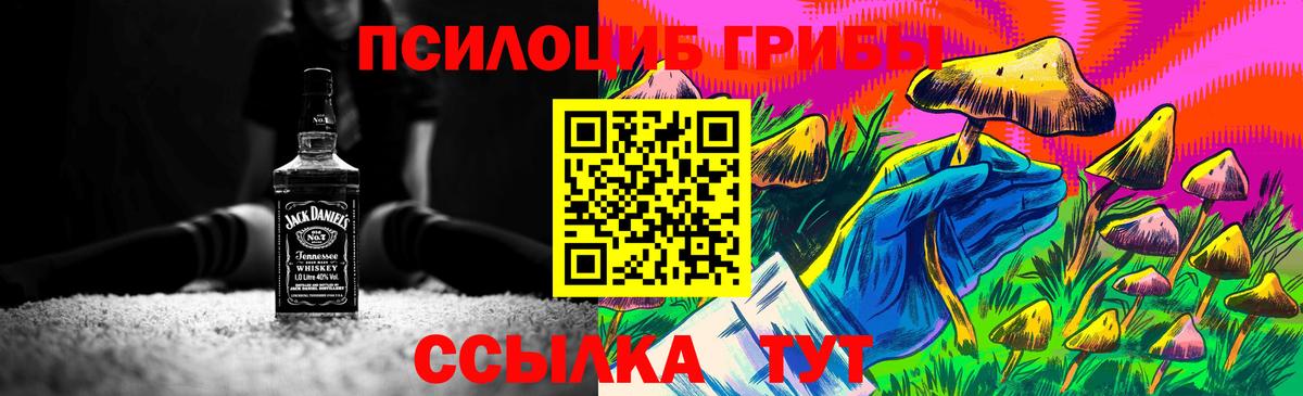 Псилоцибиновые грибы Cubensis  Вход с VPN  как найти   Обь 